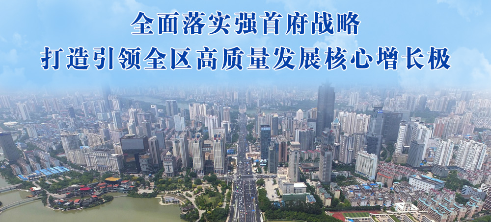 落实强首府战略 推动高质量发展