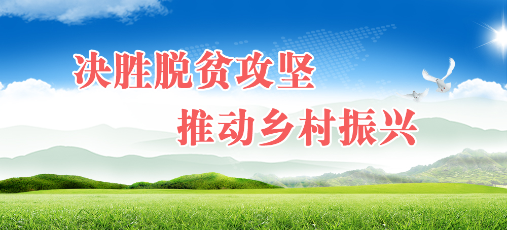 决胜脱贫攻坚 推动乡村振兴